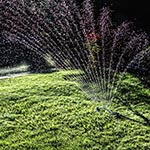 Watering Grass